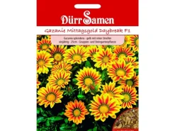 Dürr Samen Gazania Daybreak Red Stripe F1 Einjährig Saatgut< Töpfe