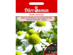 Dürr Samen Kamille Echte Saatgut< Töpfe