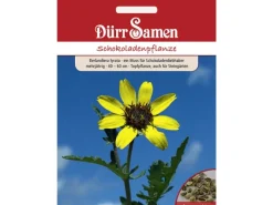 Dürr Samen Schokoladenpflanze Gelb Mit Schokoladenduft Mehrjährig Saatgut< Töpfe