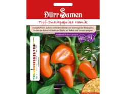 Töpfe<Dürr Samen Topf-Snackpaprika Hamik Saatgut