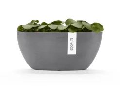 Clearance Ecopots Pflanzschale Sofia 30 cm x 13 cm Oval Grau