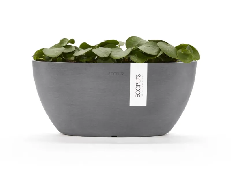 Clearance Ecopots Pflanzschale Sofia 30 cm x 13 cm Oval Grau