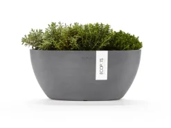 Clearance Ecopots Pflanzschale Sofia 30 cm x 13 cm Oval Grau