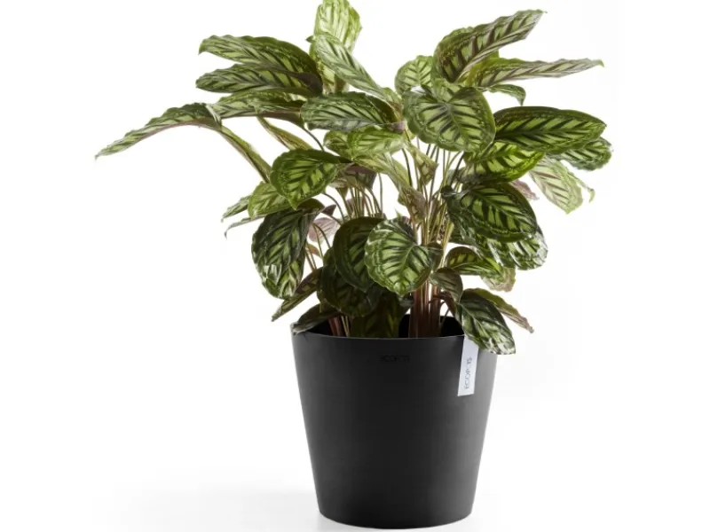 New Ecopots Pflanztopf Amsterdam Ø 40 cm / Höhe 35 cm Dunkelgrau