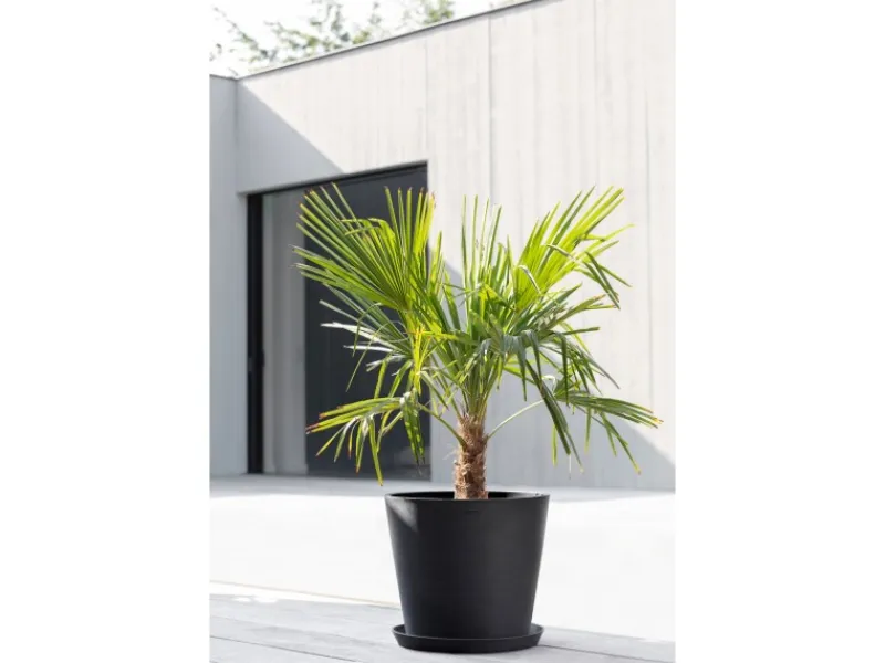 New Ecopots Pflanztopf Amsterdam Ø 40 cm / Höhe 35 cm Dunkelgrau