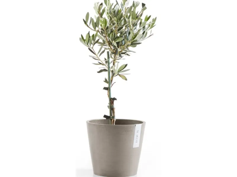 Ecopot Töpfe<s Pflanztopf Amsterdam 20 cm