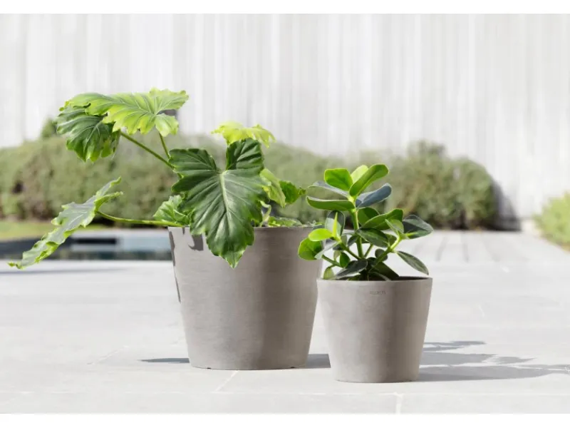 Ecopot Töpfe<s Pflanztopf Amsterdam 20 cm