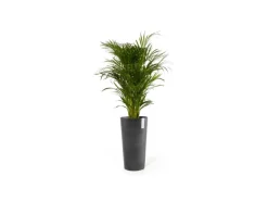 Ecopots Pflanztopf Amsterdam Halbhoch 34 cm x 66 cm< Töpfe