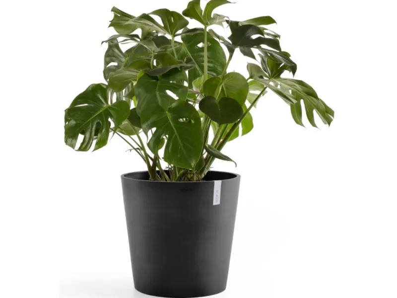 Ecopot Töpfe<s Pflanztopf Amsterdam 60 cm