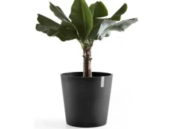 Ecopot Töpfe<s Pflanztopf Amsterdam 60 cm