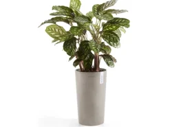 Best Ecopot s Pflanztopf Amsterdam halbhoch Braungrau 50 cm