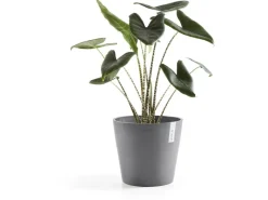 Clearance Ecopots Pflanztopf Amsterdam Ø 30 cm x 26 cm Grau