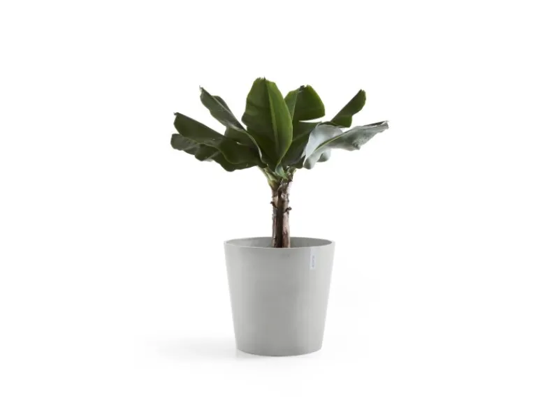 Ecopots Töpfe<Pflanztopf Amsterdam 50 cm x 43,8 cm