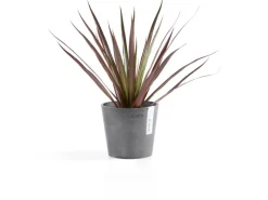 Ecopot Töpfe<s Pflanztopf Amsterdam Ø 13 cm x 11 cm Grau