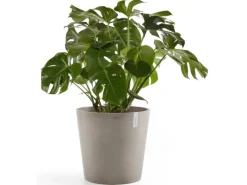 Ecopot Töpfe<s Pflanztopf Amsterdam 60 cm