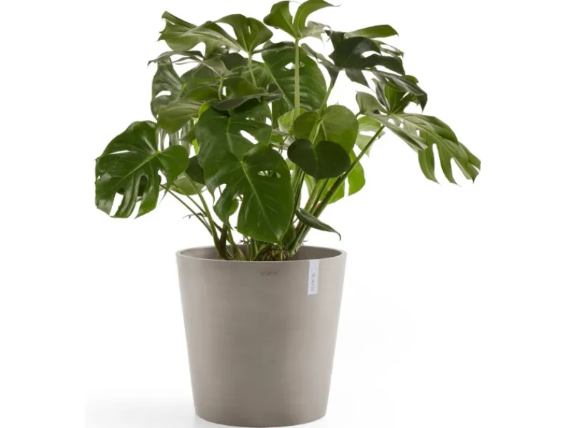 Ecopot Töpfe<s Pflanztopf Amsterdam 60 cm