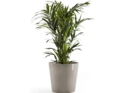 Ecopot Töpfe<s Pflanztopf Amsterdam 60 cm