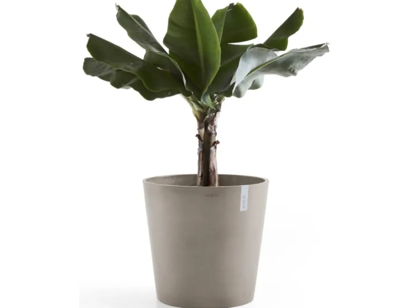 Ecopot Töpfe<s Pflanztopf Amsterdam 60 cm