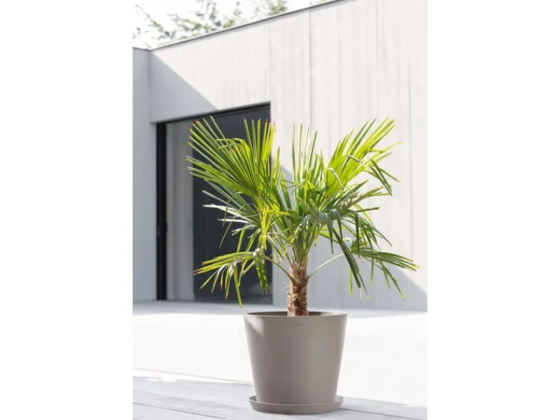Ecopot s Pflanztopf Amsterdam 40 cm Braungrau