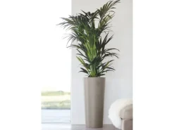 Ecopot Töpfe<s Pflanztopf Amsterdam hoch 70 cm