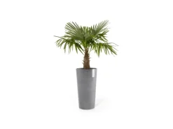 Ecopots Pflanztopf Amsterdam Halbhoch 34 cm x 66 cm< Töpfe