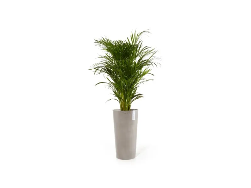 New Ecopots Pflanztopf Amsterdam Halbhoch 34 cm x 66 cm Taupe