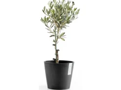 Ecopot Töpfe<s Pflanztopf Amsterdam 20 cm