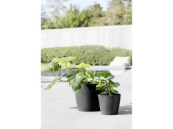 Ecopot Töpfe<s Pflanztopf Amsterdam 20 cm