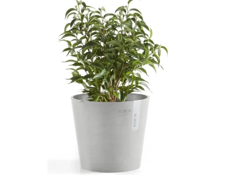 Ecopot s Pflanztopf Amsterdam Mini 17 cm< Töpfe