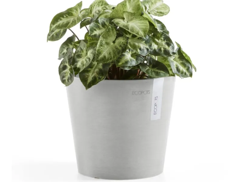 Ecopot s Pflanztopf Amsterdam Mini 17 cm< Töpfe