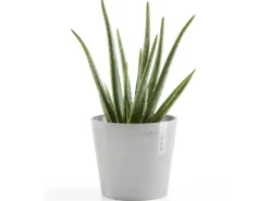 Ecopot s Pflanztopf Amsterdam Mini 17 cm< Töpfe