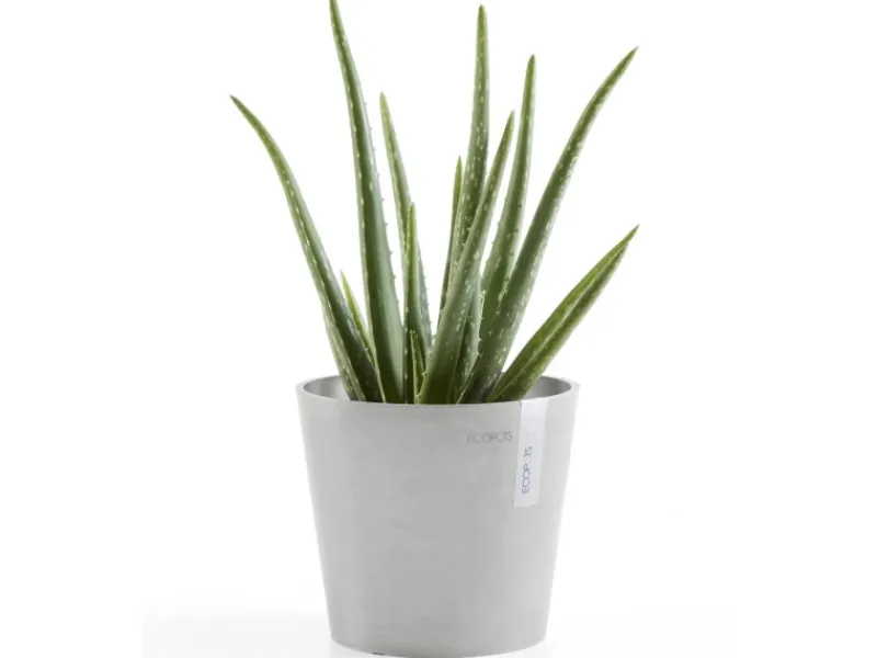 Ecopot s Pflanztopf Amsterdam Mini 17 cm< Töpfe