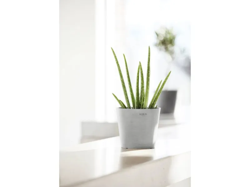 Ecopot s Pflanztopf Amsterdam Mini 17 cm< Töpfe