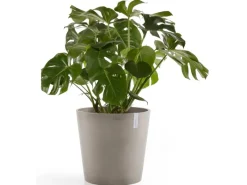 Ecopot Töpfe<s Pflanztopf Amsterdam 50 cm