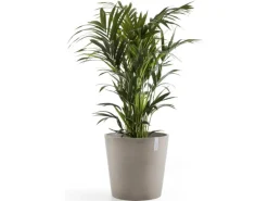 Ecopot Töpfe<s Pflanztopf Amsterdam 50 cm