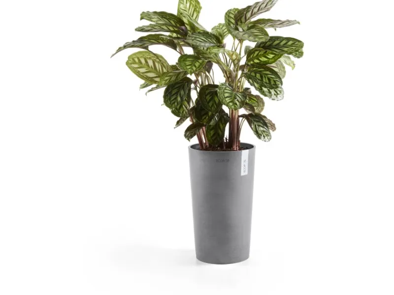 Ecopot Töpfe<s Pflanztopf Amsterdam Ø 30 cm x 50 cm Grau