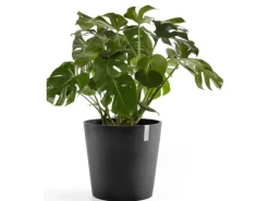 Ecopot s Pflanztopf Amsterdam 50 cm< Töpfe