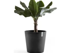 Ecopot s Pflanztopf Amsterdam 50 cm< Töpfe