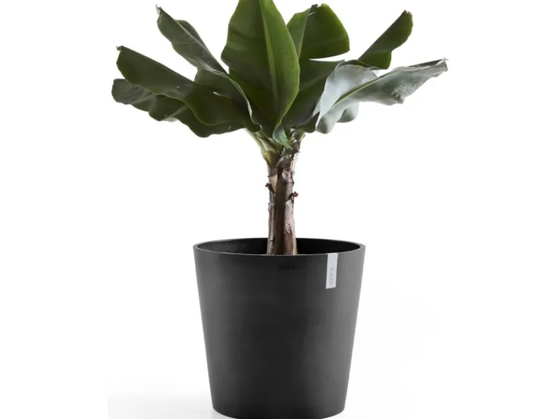 Ecopot s Pflanztopf Amsterdam 50 cm< Töpfe