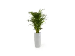 Ecopots Pflanztopf Amsterdam Halbhoch 34 cm x 66 cm< Töpfe