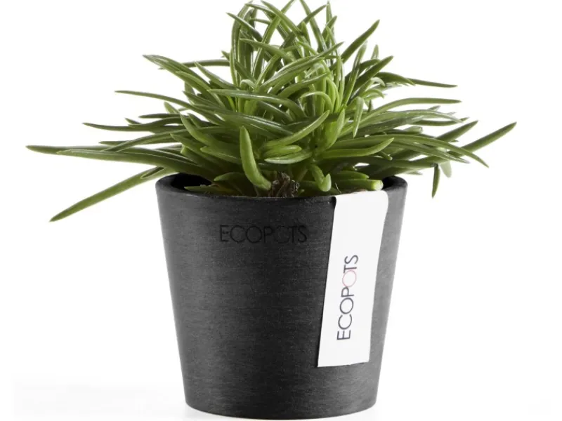 Ecopot Töpfe<s Pflanztopf Amsterdam Mini 8 cm