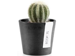 Ecopot Töpfe<s Pflanztopf Amsterdam Mini 8 cm