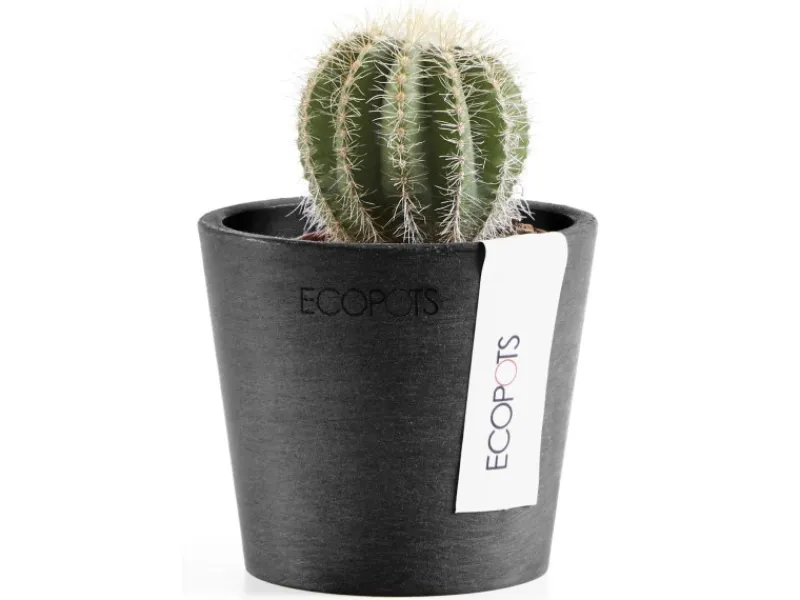 Ecopot Töpfe<s Pflanztopf Amsterdam Mini 8 cm