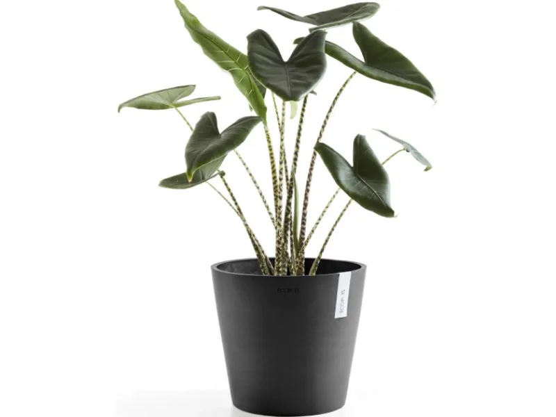 Ecopots Töpfe<Pflanztopf Amsterdam Ø 30 cm / Höhe 26,3 cm