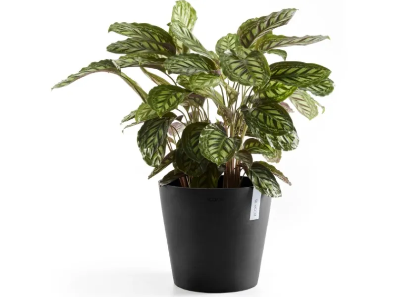 Ecopots Töpfe<Pflanztopf Amsterdam Ø 30 cm / Höhe 26,3 cm