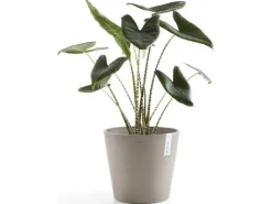 Outlet Ecopot s Pflanztopf Amsterdam 30 cm Braungrau