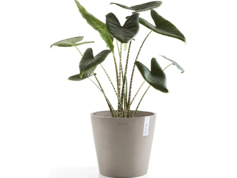 Outlet Ecopot s Pflanztopf Amsterdam 30 cm Braungrau