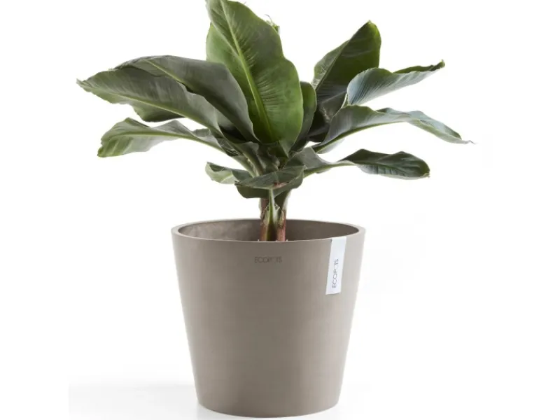 Outlet Ecopot s Pflanztopf Amsterdam 30 cm Braungrau
