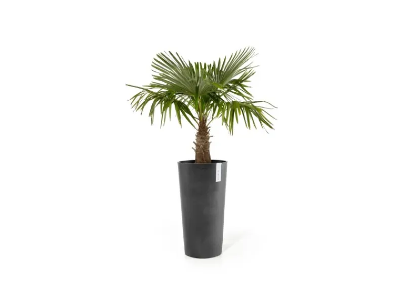 Hot Ecopots Pflanztopf Amsterdam Hoch 41 cm x 76 cm Dunkelgrau