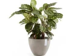 Discount Ecopot s Pflanztopf Antwerp 40 cm Braungrau